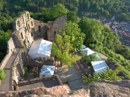 Foto: Burgruine Windeck